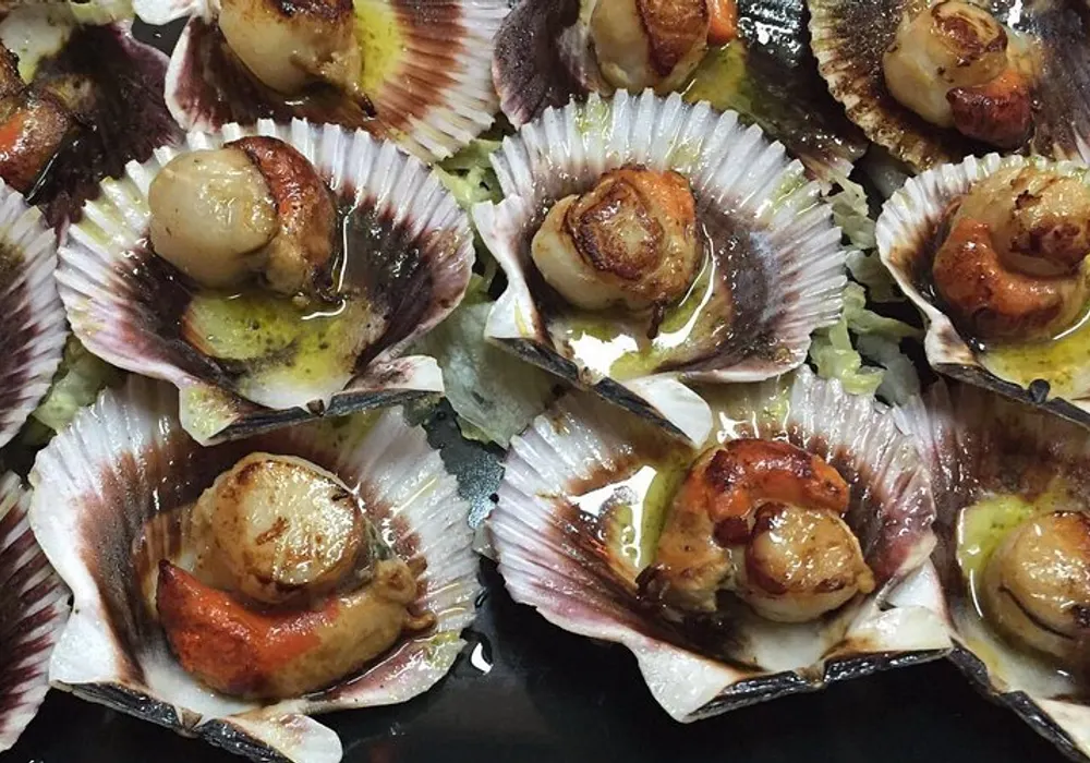 Zamburiñas gratinadas